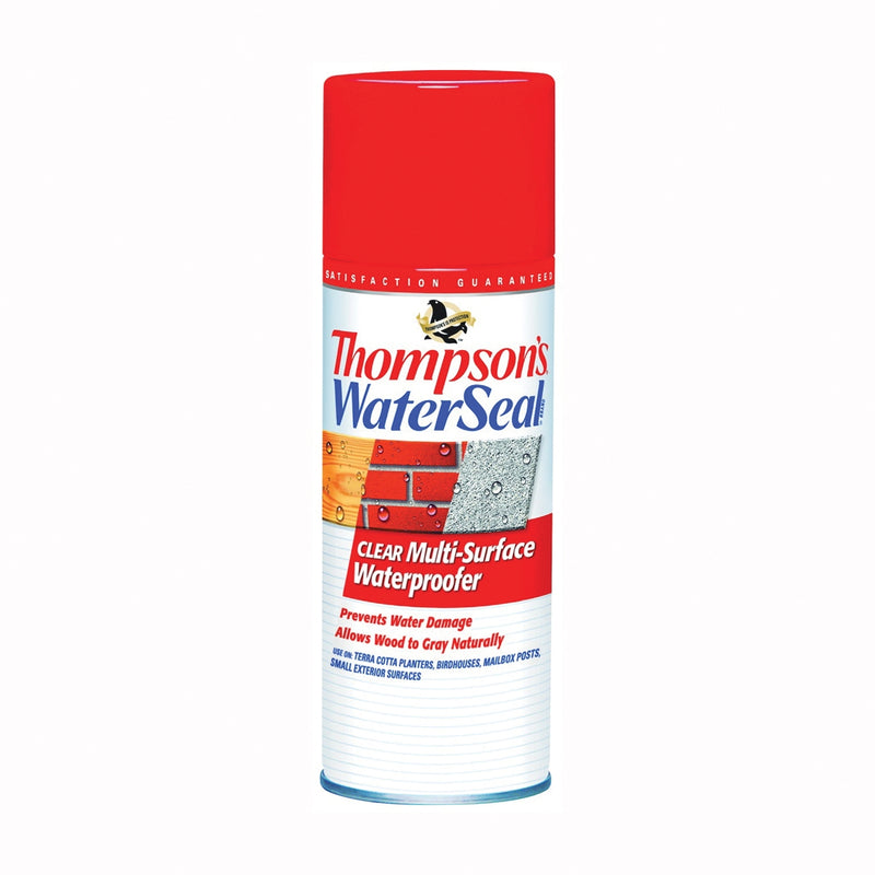 Thompson's WaterSeal Waterproofer Clear 12 oz Aerosol Can