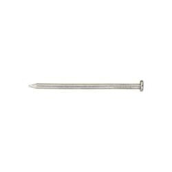 ACE Framing Nail 8D 2 1/2 in L Steel Bright Round Head Smooth Shank Silver 1 lb