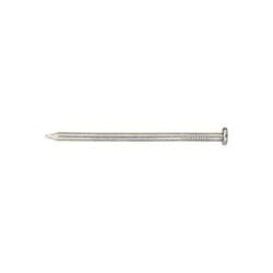 ACE Framing Nail 6D 2 in L Steel Bright Round Head Smooth Shank Silver 1 lb