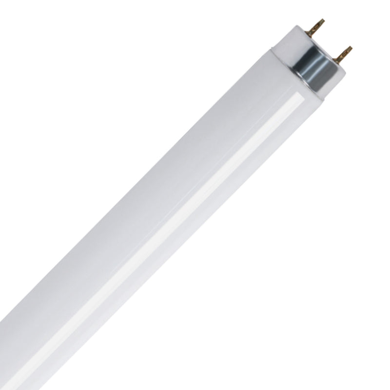 Feit Electric Fluorescent Bulb 32 W G13 Lamp Base 2600 Lumens 6500 K Color Temp Daylight Light