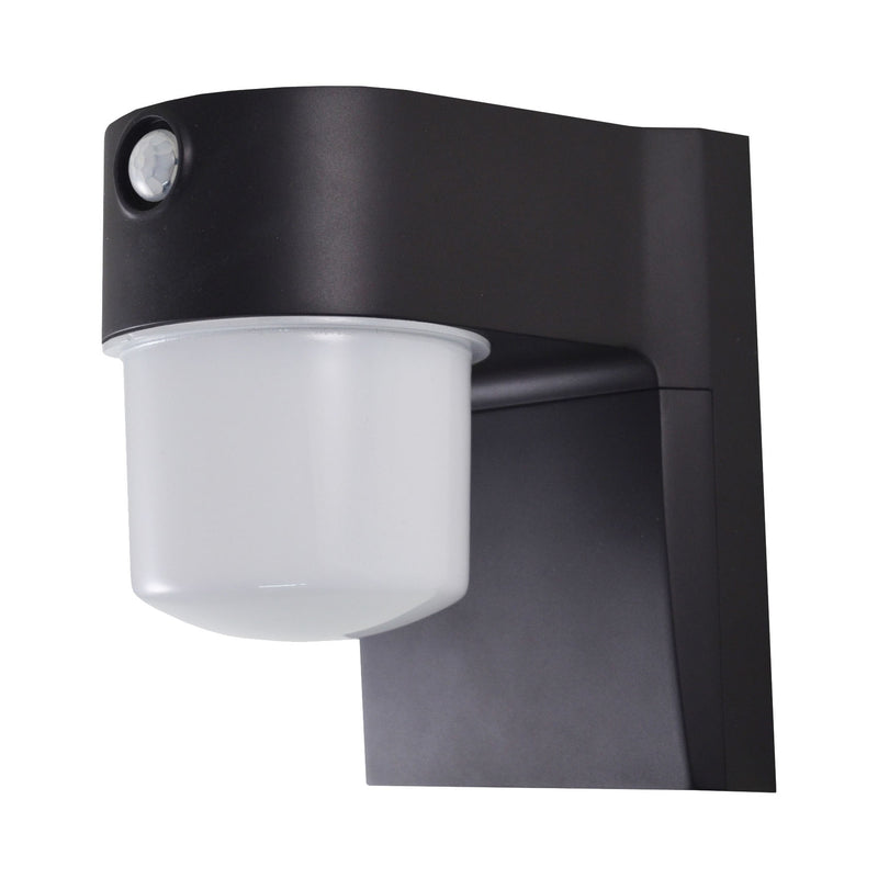 PowerZone Security Light 120 V 9 W