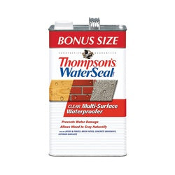 Thompson's WaterSeal Waterproofer Clear 1.2 gal Can