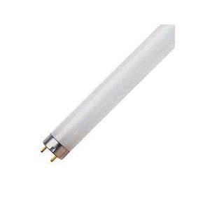 Feit Electric Fluorescent Lamp 8 W T5 Lamp Miniature G5 Lamp Base 320 Lumens 4100 K Color Temp