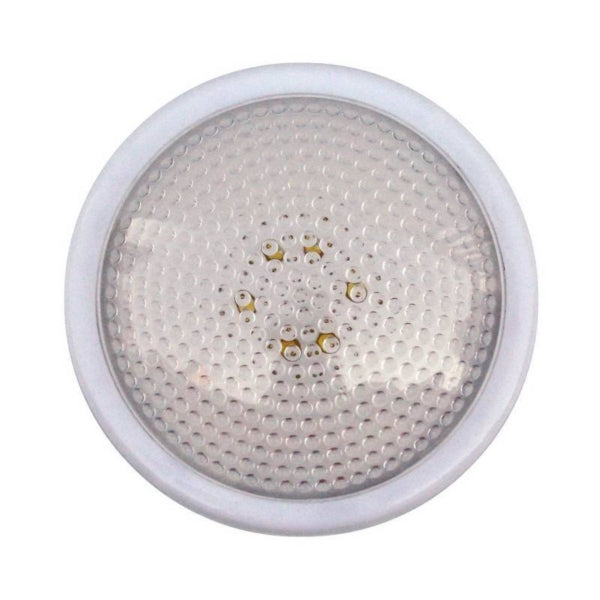 Dorcy Push and Light 1.5 V AA Battery Alkaline Battery 6-Lamp LED Lamp 24 Lumens White